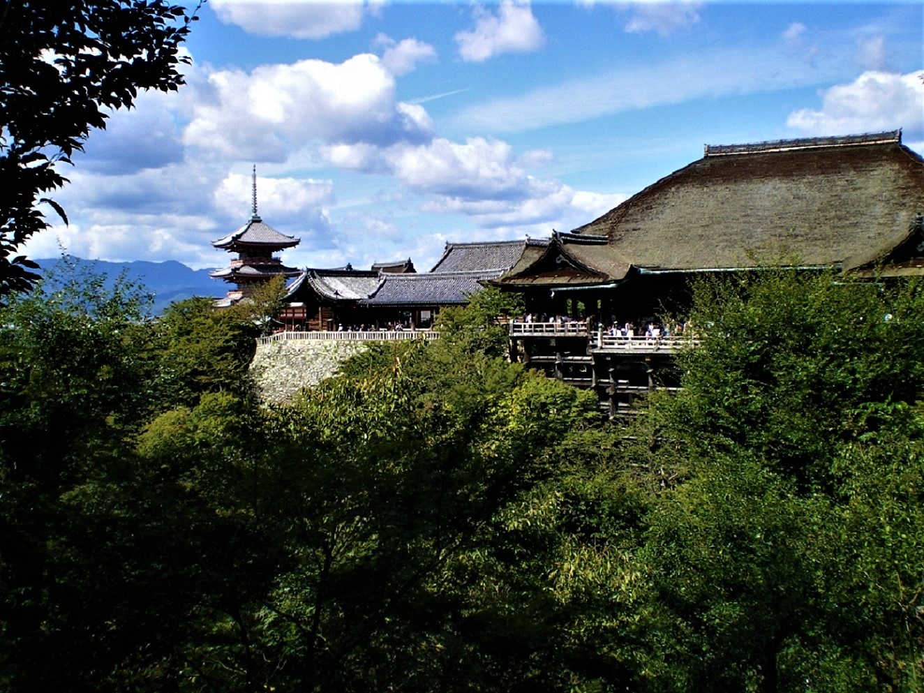 滝の画像