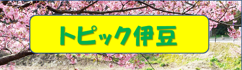 ɓ̃S
