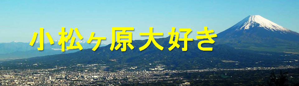 ̃S