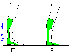 硬い装具と軟らかい装具を装着したときの立脚中期から後期にかけての比較図